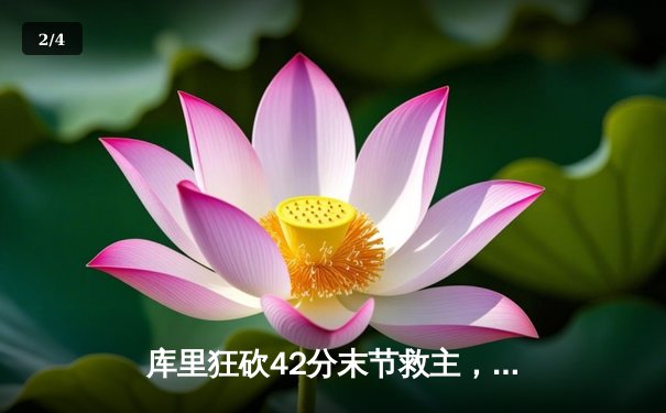 库里狂砍42分末节救主，勇士加时险胜凯尔特人重回总决赛 - 2